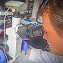 researcher