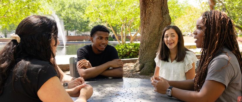 people sitting around a table outside 