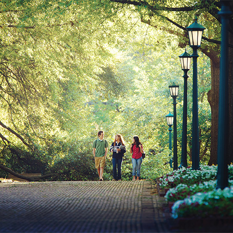 students walking on the historic horseshoe