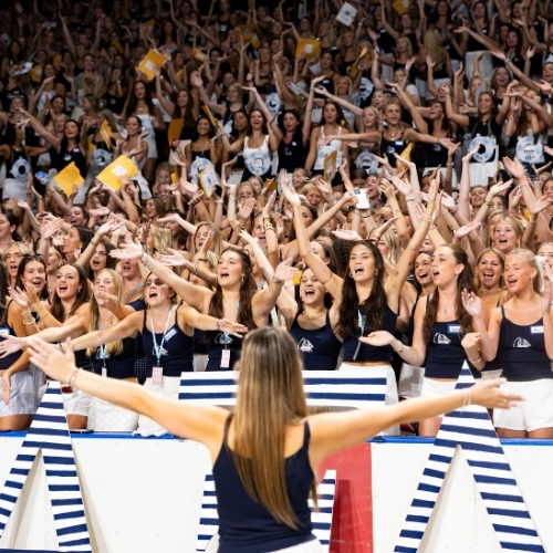 Women fill the stands of Colonial Life Arena on Bid Day at USC in 2025. 